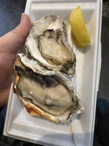 Oysters - Miyajima